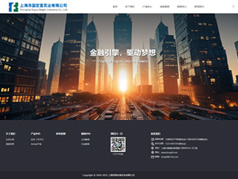 上海泽国定富实业网站建设案例